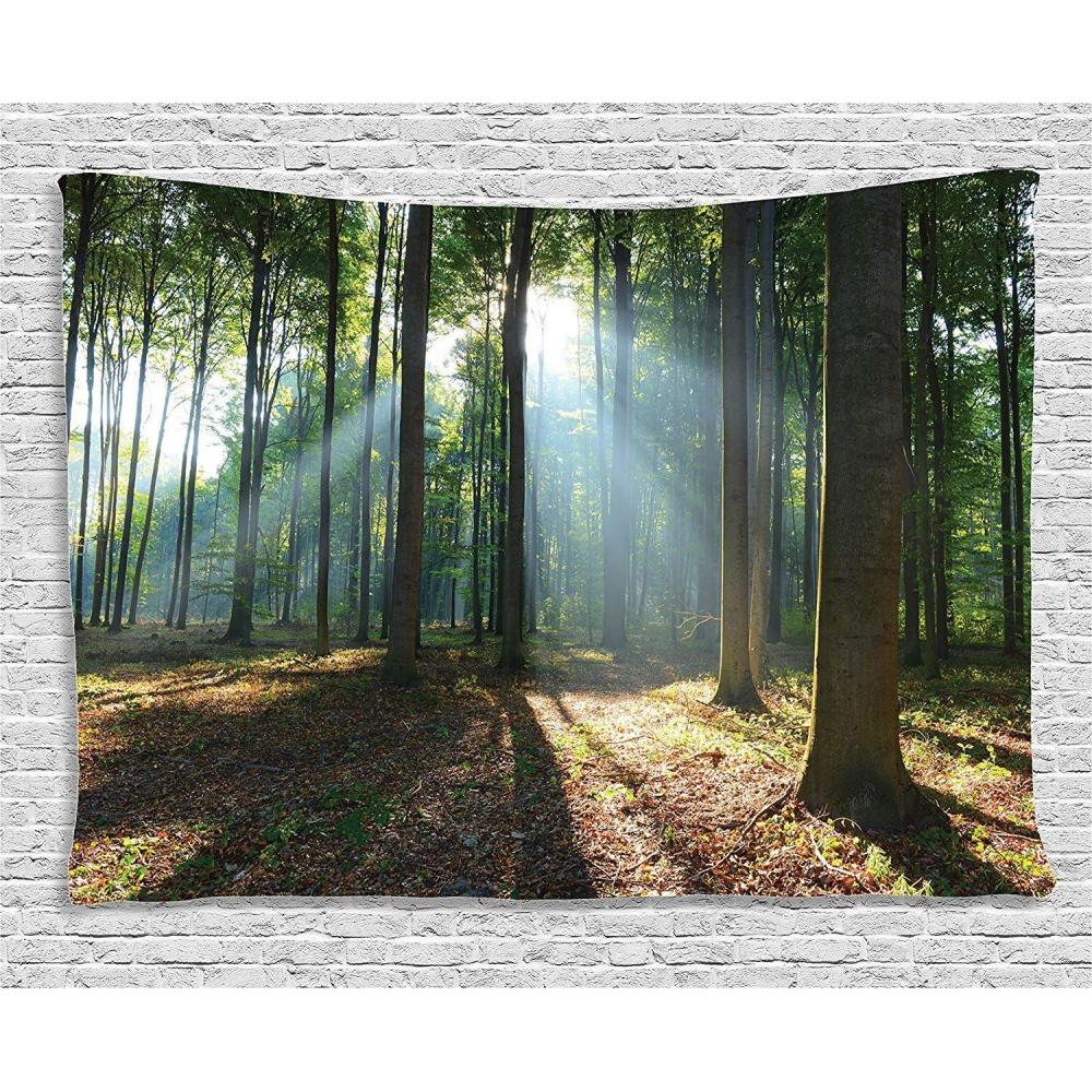 imageAmbesonne Mint Tapestry Blurry Abstract Background Shady Pastel Toned Modern Watercolor Murky Image Wall Hanging for Bedroom Living Room Dorm Decor 60 X 80 Mint GreenBrown Green