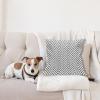 Ambesonne Modern Throw Pillow Cushion Cover, Geometric Triangle Shapes Zig Zag Triggering Lines Minimalist Pattern Print, Decorative Square Accent Pillow Case, 18″ X 18″, Black and White(Black and White)