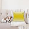 Ambesonne Modern Throw Pillow Cushion Cover, Geometric Triangle Shapes Zig Zag Triggering Lines Minimalist Pattern Print, Decorative Square Accent Pillow Case, 18″ X 18″, Black and White(Yellow)