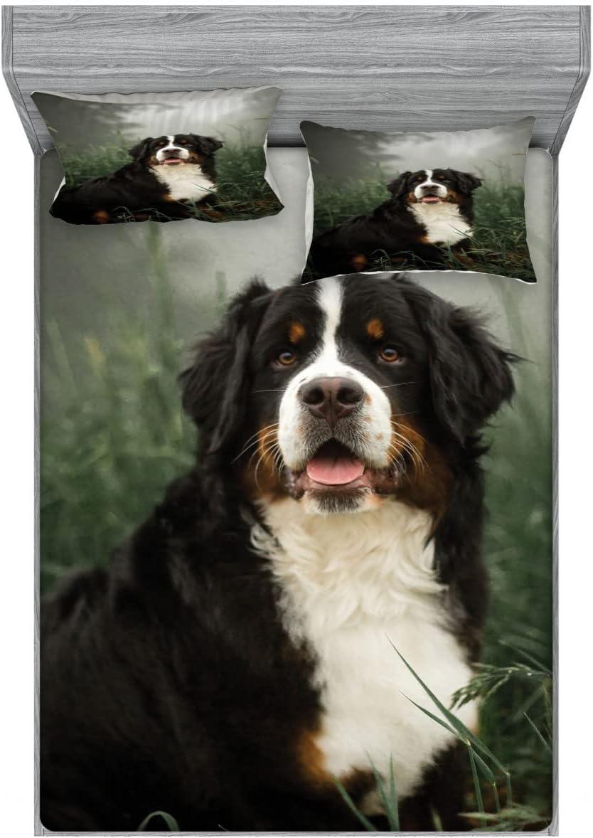 imageAmbesonne Fox Fitted Sheet amp Pillow Sham Set Fox in The Winter Forest Abstract Cartoon Trees and Nature Animal Pattern Decorative Printed 2 Piece Bedding Decor Set Twin Pale Sage Green OrangeMulticolor