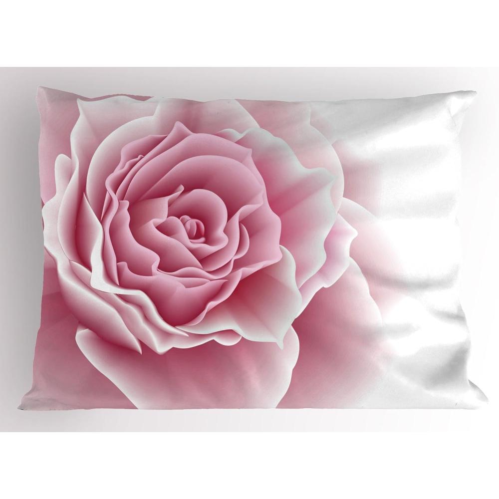 imageAmbesonne Valentines Day Pillow Sham Set of 2 Rustic Heart Over Wooden Planks Background Lovers Corner Romantic Celebration Print Quality Microfiber Bedding Item for All Seasons 26 x 20 TanPale Pink White