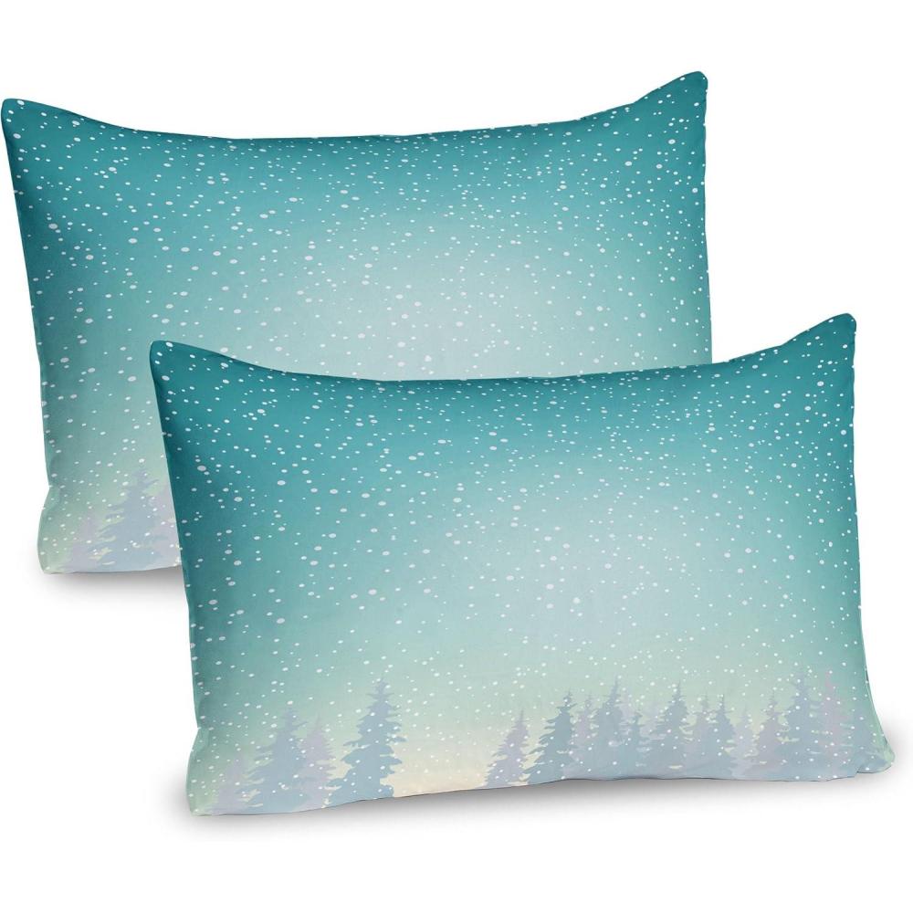 imageAmbesonne Valentines Day Pillow Sham Set of 2 Rustic Heart Over Wooden Planks Background Lovers Corner Romantic Celebration Print Quality Microfiber Bedding Item for All Seasons 26 x 20 TanTurquoise White