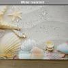 Ambesonne Starfish Place Mats Set of 8, Seacoast with Sand with Colorful Various Seashells Tropics Aquatic Wildlife Theme, Washable Fabric Placemats for Dining Table, Placemat 8 pcs, White Coral