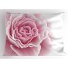 Pale Pink White