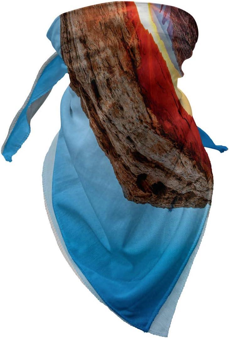 imageAmbesonne Unisex BandanaBrown Sky