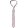 Ambesonne Multicolor Modern Men’s Tie(Blush and Rose)