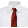 Ambesonne Multicolor Modern Men’s Tie(Burnt Orange Burgundy)