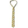 Ambesonne Multicolor Modern Men’s Tie(Earth Yellow Green White)