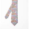 Ambesonne Multicolor Modern Men’s Tie(Pale Pink)