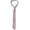 Ambesonne Multicolor Modern Men’s Tie(Pale Pink)