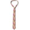 Ambesonne Multicolor Modern Men’s Tie(Pink Green)