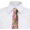 Ambesonne Multicolor Modern Men’s Tie(Pink Green)