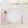 Ambesonne Rose Place Mats Set of 4, Pink Rose Close up with Soft Blur Focus Fresh Fragile Fragrance Smell Valentine’s Day, Washable Fabric Placemats for Dining Table, Standard Size, Pale Pink
