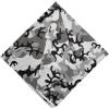 Ambesonne Unisex Bandana(Grey Black)