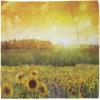 Ambesonne Unisex Bandana(Orange Yellow)