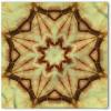 Mustard Brown