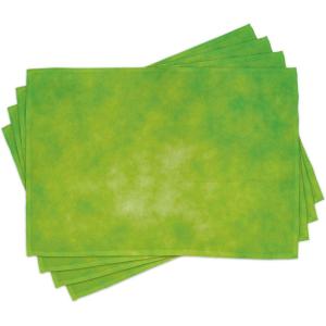 Ambesonne Lime Green Place Mats Set of 4, Cloudy Shade of Color Pastel Toned Backdrop Irish Tones, Washable Fabric Placemats for Dining Table, Standard Size, Lime Green Avocado Green