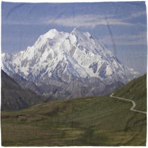 Ambesonne Unisex Bandana(Fern Green)