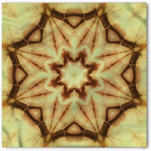 Ambesonne Unisex Bandana(Mustard Brown)