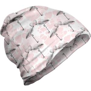 Ambesonne Unisex Beanie, Hearts Love Valentines, Hiking Outdoors