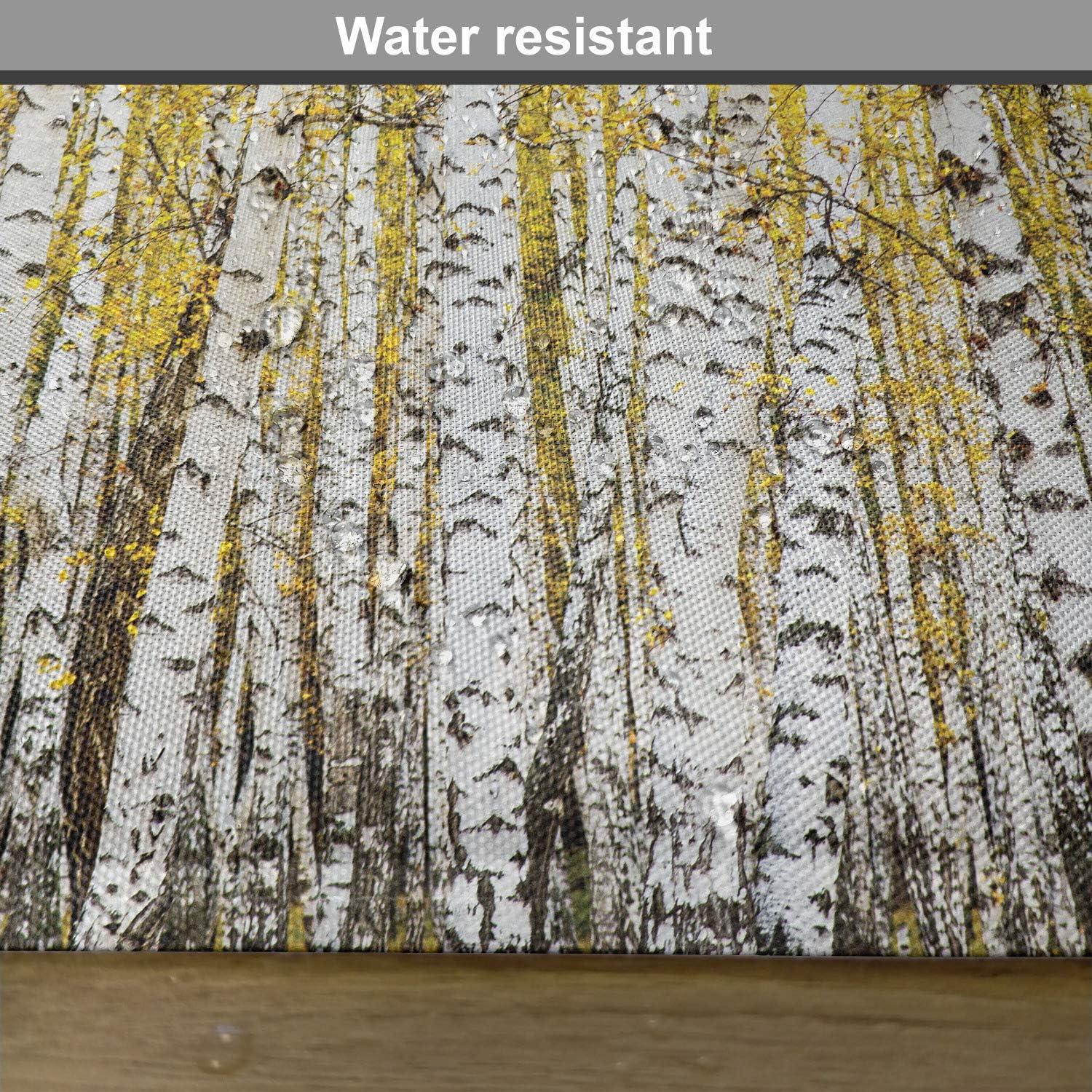 imageAmbesonne Forest Place Mats Set of 4 Autumn Birch Forest Golden Yellow Leaves Woodland October Seasonal Nature Picture Washable Fabric Placemats for Dining Table Standard Size Yellow and Grey