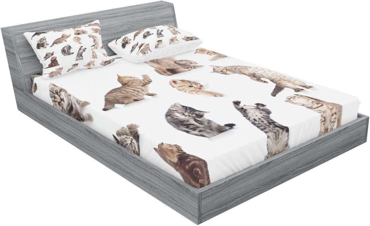 imageAmbesonne Sloth Fitted Sheet amp Pillow Sham Set Cartoon Character Sleeping on Branch Jungle Animal in Night Sky Kids Theme Decorative Printed 2 Piece Bedding Decor Set Twin Plum BrownBeige White