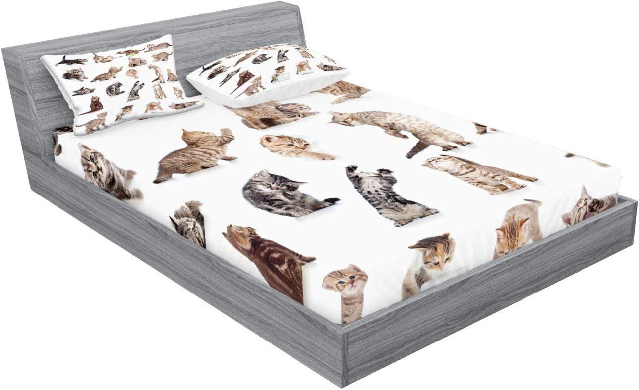 imageAmbesonne Sloth Fitted Sheet amp Pillow Sham Set Cartoon Character Sleeping on Branch Jungle Animal in Night Sky Kids Theme Decorative Printed 2 Piece Bedding Decor Set Twin Plum BrownBeige White