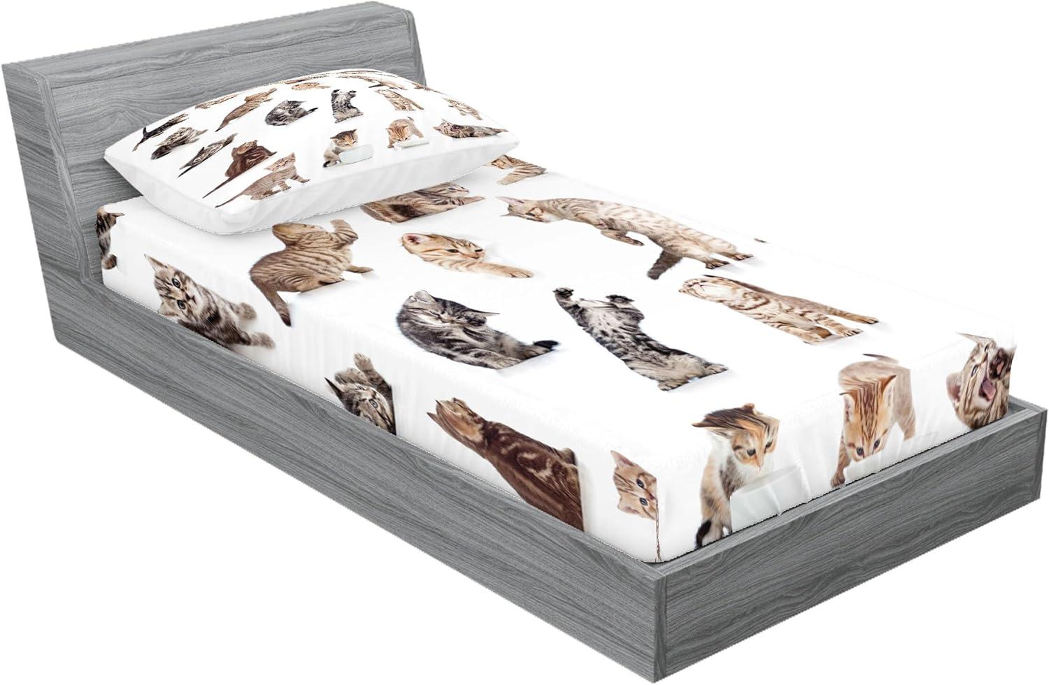 imageAmbesonne Sloth Fitted Sheet amp Pillow Sham Set Cartoon Character Sleeping on Branch Jungle Animal in Night Sky Kids Theme Decorative Printed 2 Piece Bedding Decor Set Twin Plum BrownBeige White