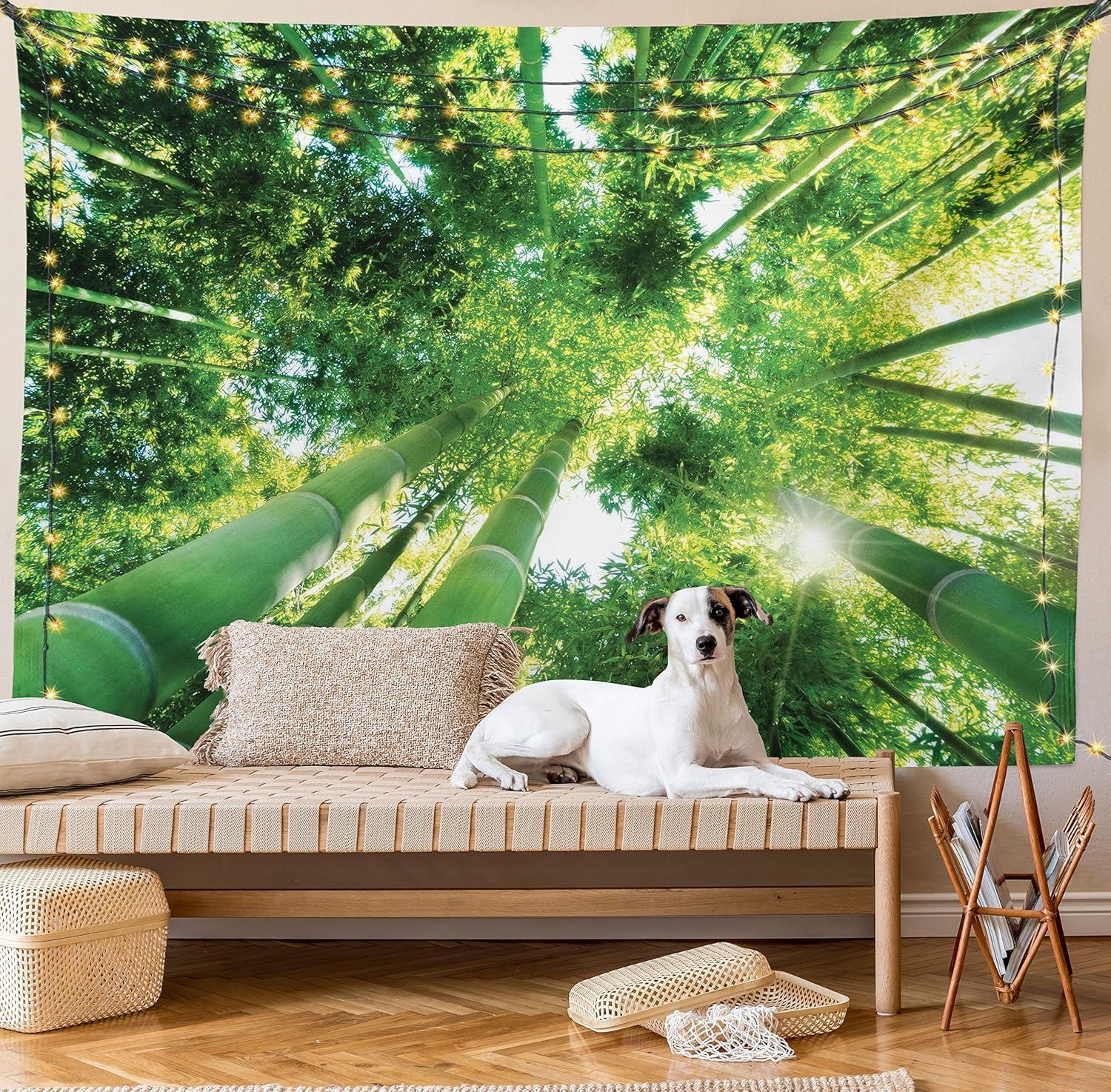 imageAmbesonne Forest Tapestry Mystic Dark Fog Atmosphere Deep in The Forest Woodland Nobody Silence Image Wide Wall Hanging for Bedroom Living Room Dorm 60 X 40 Brown Orange GreenForest Green