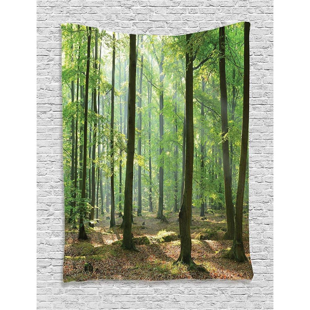 imageAmbesonne Forest Tapestry Mystic Dark Fog Atmosphere Deep in The Forest Woodland Nobody Silence Image Wide Wall Hanging for Bedroom Living Room Dorm 60 X 40 Brown Orange GreenBrown Green