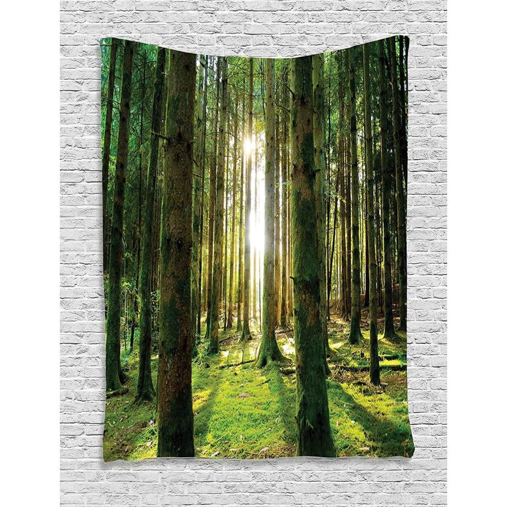 imageAmbesonne Forest Tapestry Mystic Dark Fog Atmosphere Deep in The Forest Woodland Nobody Silence Image Wide Wall Hanging for Bedroom Living Room Dorm 60 X 40 Brown Orange GreenGreen White