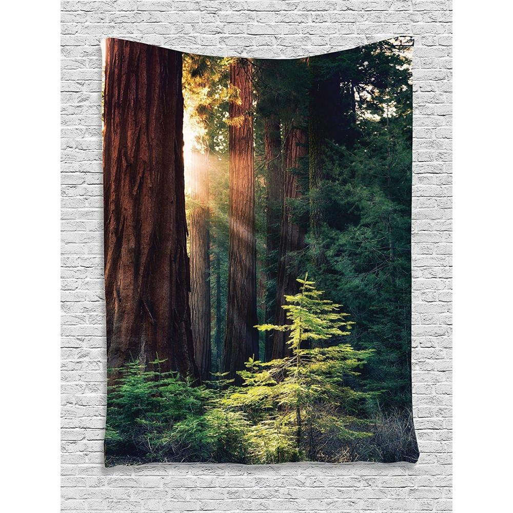imageAmbesonne National Parks Tapestry Morning Sunlight in Wilderness Yosemite Sierra Nevada United States Nature Wall Hanging for Bedroom Living Room Dorm Decor 60 X 80 Green Brown