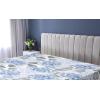 Ambesonne Floral Fitted Sheet, Romantic Concept Art Featuring Rose Flowers Hearts Leaves Valentine, Decorative Soft Fabric Bedding All-Round Elastic Pocket, Queen Size, Pastel Pink and Fern Green(Pale Ceil Blue White and Grey)
