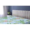 Ambesonne Floral Fitted Sheet, Valentine’s Day Theme Flowers Vintage Botanical Nature Ornament Art, Decorative Soft Fabric Bedding All-Round Elastic Pocket, Full Size, Dark Coral and Fern Green(Pale Azure Blue Emerald)