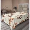 Ivory Apricot and Dark Grey