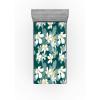 White Pale Teal Grey Teal