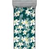 White Pale Teal Grey Teal