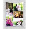 Green Fuchsia