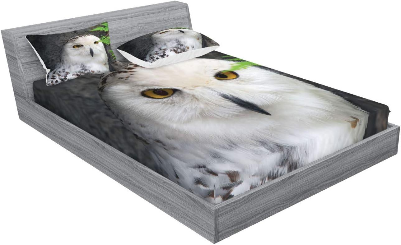 imageAmbesonne Dragon Fitted Sheet amp Pillow Sham Set Cartoon Style Design for Animal Pattern Colorful Dragons Art Print Decorative Printed 2 Piece Bedding Decor Set Twin Aqua WhiteWhite Charcoal