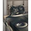 Ambesonne Cat Sheet Set, Romantic Date Night of Kitties Drinking Milkshake Cozy Night Scene Valentines, Fitted and Flat Sheet with Pillowcases Bedding Accent 4 Piece Set, King, Dark Blue Apricot(Charcoal Grey)