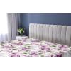 Ambesonne Floral Fitted Sheet, Valentine’s Day Romantic Concept Watercolor Hydrangeas Roses Birds, Decorative Soft Bedding All-Round Elastic Pocket, California King, Soft Pink Pistachio Green(Pale Fuchsia Reseda Green)
