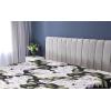 Ambesonne Floral Fitted Sheet, Valentine’s Day Romantic Concept Watercolor Hydrangeas Roses Birds, Decorative Soft Bedding All-Round Elastic Pocket, California King, Soft Pink Pistachio Green(Lavender Blue Green)