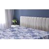 Ambesonne Floral Fitted Sheet, Valentine’s Day Theme Vintage Style Romantic Roses Pattern Plot, Decorative Soft Fabric Bedding All-Round Elastic Pocket, Twin Size, Dark Fuchsia and Slate Blue(Dark Lavender and Violet)