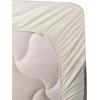 Ambesonne Floral Heart Sheet Set, Tenderness of Romantic Garden Ivy Branches and Roses Valentines Day, Fitted and Flat Sheet with Pillowcase Bedding Accent 3 Piece Set, Twin, Laurel Green and Pink(Cinnamon Off White Green)