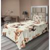 Ivory Apricot and Dark Grey