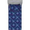 Sky Blue and Dark Purple