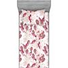 Dried Rose Pale Ruby