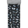 Blue Grey Pale Teal