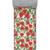Ambesonne Floral Fitted Sheet & Pillow Sham Set, Valentine’s Day Theme Flowers Vintage Botanical Nature Ornament Art, Decorative Printed 2 Piece Bedding Decor Set, Twinxl, Dark Coral and Fern Green(Scarlet and Reseda Green)
