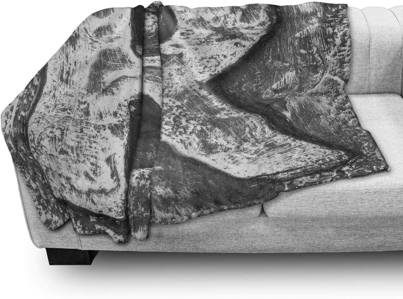 imageAmbesonne Circus Throw Blanket Vintage Circus Characters Acrobat Bearded Lady Gymnast Strong Man Harlequin Mime Flannel Fleece Accent Piece Soft Couch Cover for Adults 70 x 90 Pink TanGrey